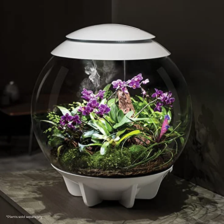 biOrb Terrarium AIR (60 l, Weiß), geschlossenes Mikroklima mit automatischer Luftfeuchtigkeitsregelung und intelligentem LED-Lichtzyklus – Bild 2