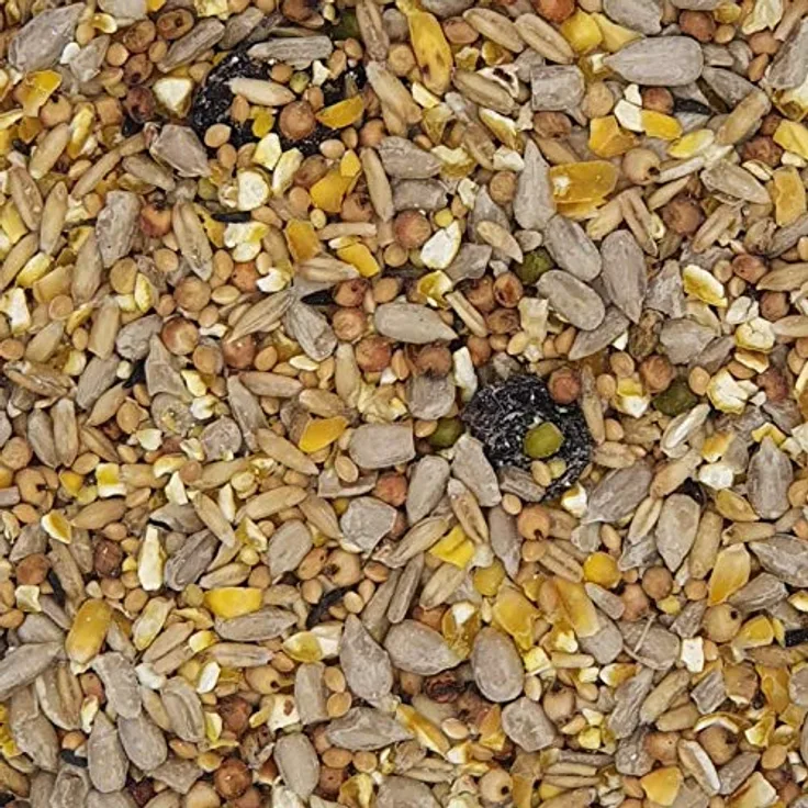Versele-Laga Menu Nature Clean Garden Mischung, 10 kg, nahrhaftes Wildvogelfutter ohne Schalen für ganzjährige Fütterung