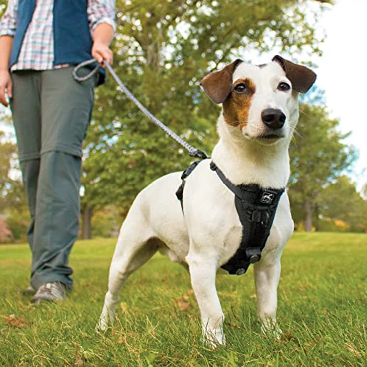 Kurgo Tru-Fit Smart Hundegeschirr, Größe M, Schwarz, mit gepolstertem Brustteil und Autosicherheitsgurt, Anti-Zug Training Clip – Bild 5