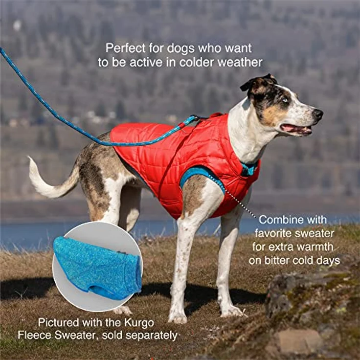 Kurgo Loft Jacke Reversible Hundemantel, wasserabweisend und reflektierend, für kaltes Wetter, Blau/Orange, Größe L – Bild 5