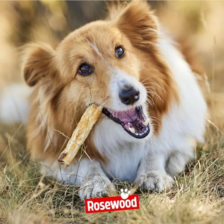 Rosewood Chewy Sticks Ente Medium – Kausnacken mit getrockneter Ente und Rinderhaut, fördert die Zahngesundheit, ohne Getreide, ohne künstliche Zusatzstoffe, 100 g – Bild 5