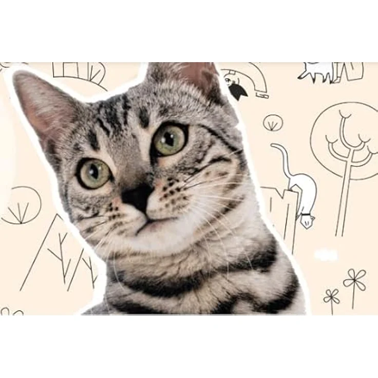 GRAU – das Original – Trockenfutter für Katzen – Kitten – Geflügel mit Superfoods, glutenfrei, 2 kg – Bild 5
