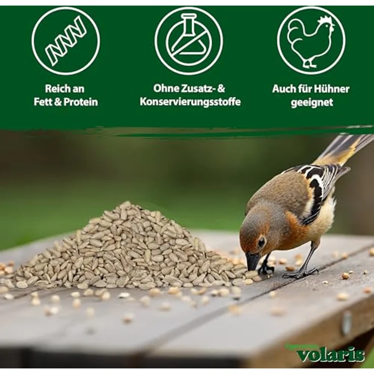 Eggersmann volaris Sonnenblumenkerne Vogelfutter, 2,5kg geschält für alle Vogelarten, ganzjährig verwendbar, Made in Germany – Bild 3
