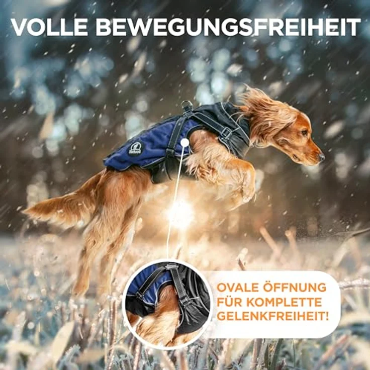 Tierhood Hunderegenmantel, wasserdicht mit integriertem Geschirr, reflektierende Regenjacke für kleine Hunde, PrimaLoft-Thermomaterial, Schwarz – Bild 5