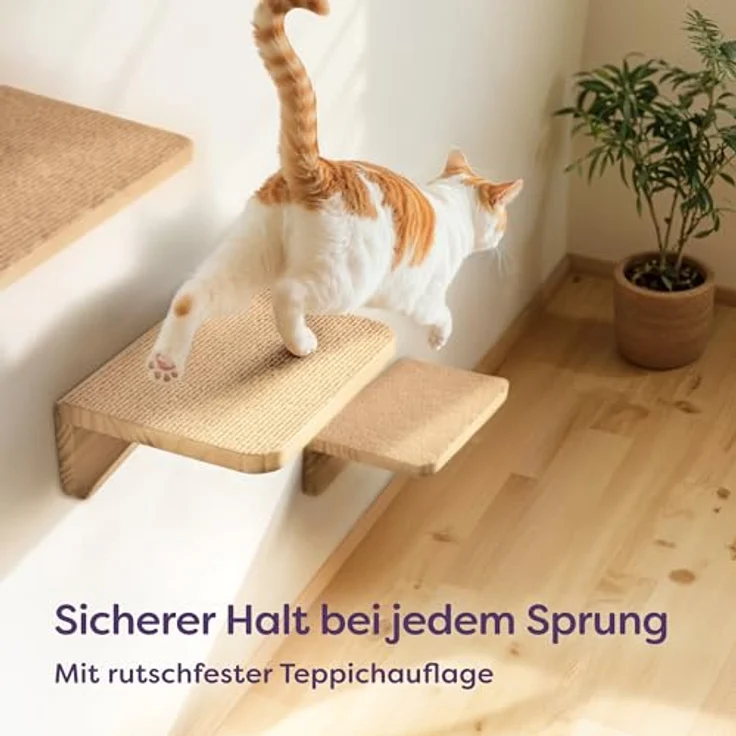 Niboline Knupis Kletterwand Katzen Set, 3er Katzentreppe aus FSC® Kiefernholz, stabil bis 30 kg, beige – Bild 4