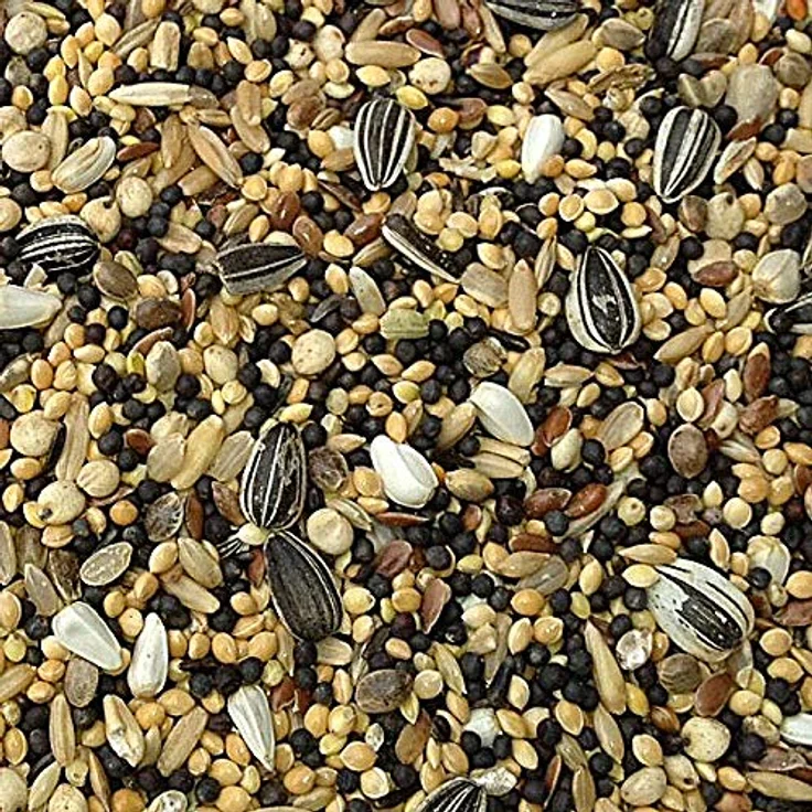 Paul´s Mühle Kleinsämereien-Mischung für Wildvögel & Taubenfutter, 5 kg energiereiches Ganzjahresfutter mit natürlicher Saatenvielfalt – Bild 5