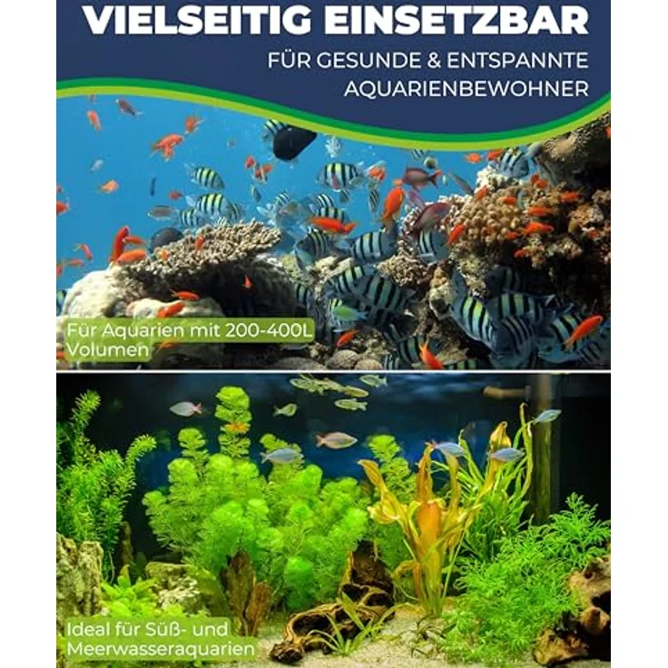 HOBBY Aquaristik Bubble Air Pump 400, Luftpumpe für Aquarien 200–400 l, 4,5 W, 2 × 3,0 l/min Förderleistung, leise, vibrationsarm, für Süß- & Meerwasseraquarien – Bild 5