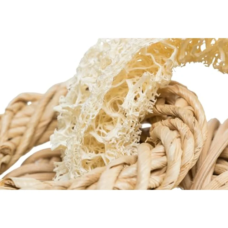 TRIXIE Tier-Beschäftigungsspielzeug Nagerspielzeug Luffa Ringe, ø 13 cm, von TRIXIE – Bild 4