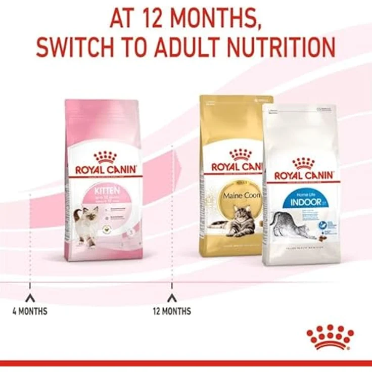 ROYAL CANIN Kitten 400 g, hochwertiges Katzenfutter für Kätzchen mit erhöhtem Proteingehalt und patentiertem Antioxidanzienkomplex – Bild 3
