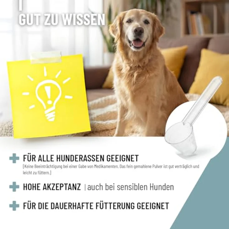 REAVET Senior Complete 250g, Hundefutter zur Unterstützung der Vitalität und Beweglichkeit von Seniorhunden, mit Taurin und Pflanzenstoffen – Bild 6