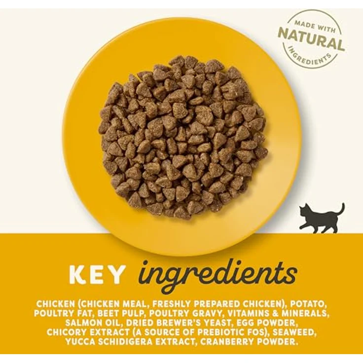 Applaws Trockenfutter Kitten, Hähnchen, 2 kg - Ohne Zuckerzusatz, ohne künstliche Farb- und Aromastoffe, fördert Wohlbefinden und Neugier – Bild 3