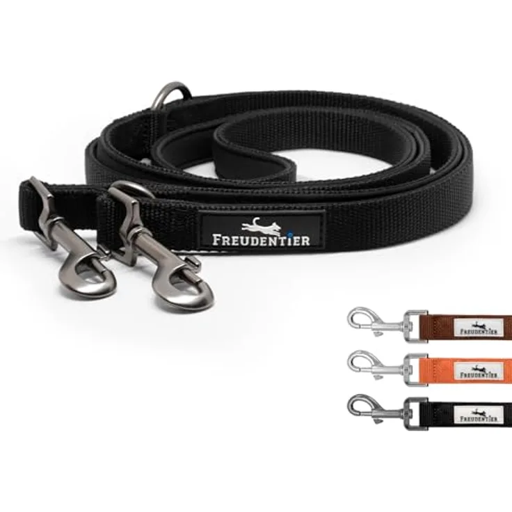 FREUDENTIER Hundeleine 2m Clyde, verstellbare Führleine für mittelgroße & große Hunde, schwarz, weich gepolstert, reflektierend, 25mm breit