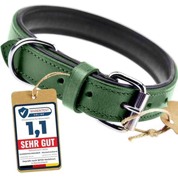 Schnüffelfreunde Lederhalsband für Hunde, gepolstert und robust, für große, mittlere und kleine Hunde, XL (46-55cm), grün – Bild 1