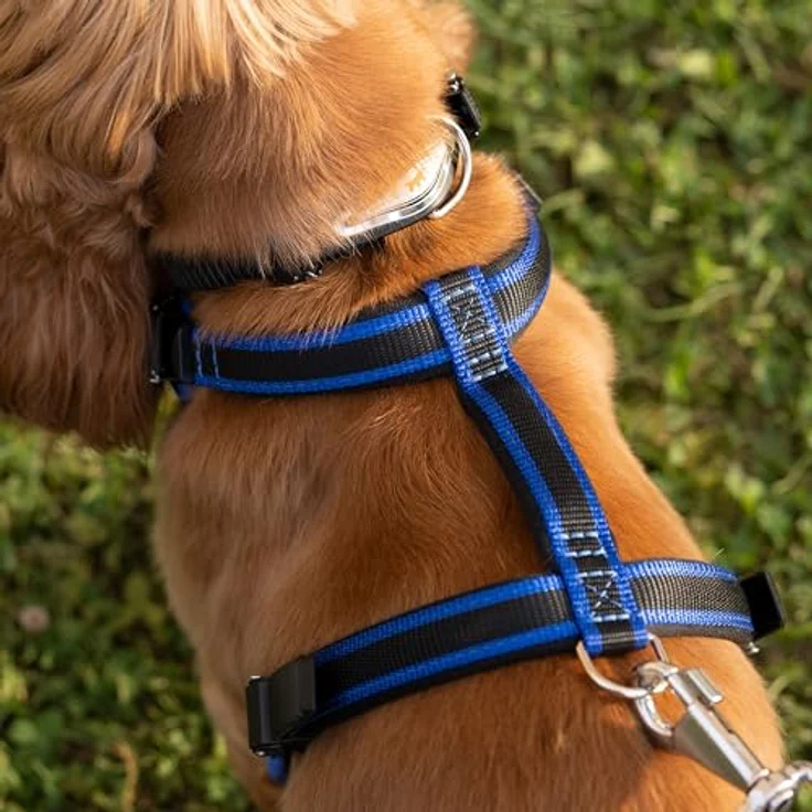 Ferplast ERGOCOMFORT Hundegeschirr, verstellbar, gepolstert, Schnellverschluss, Größe M, max. 30 kg, blau – Bild 4