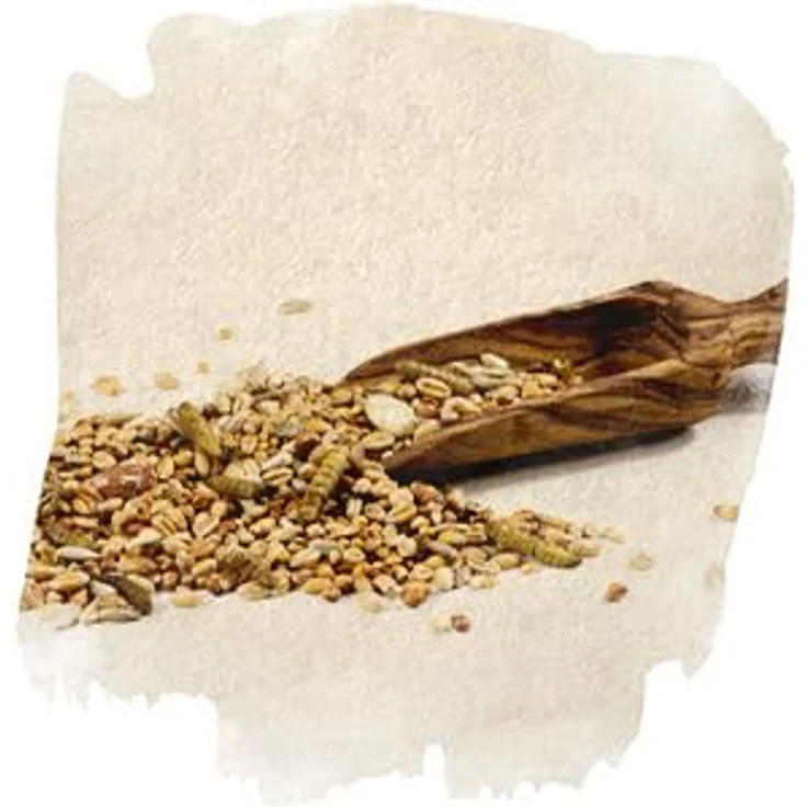 vogelfood Vogelfood 25 kg Streufutter ohne Schalen mit Mehlwürmern, Ganzjahresfutter für Wildvögel – Bild 5