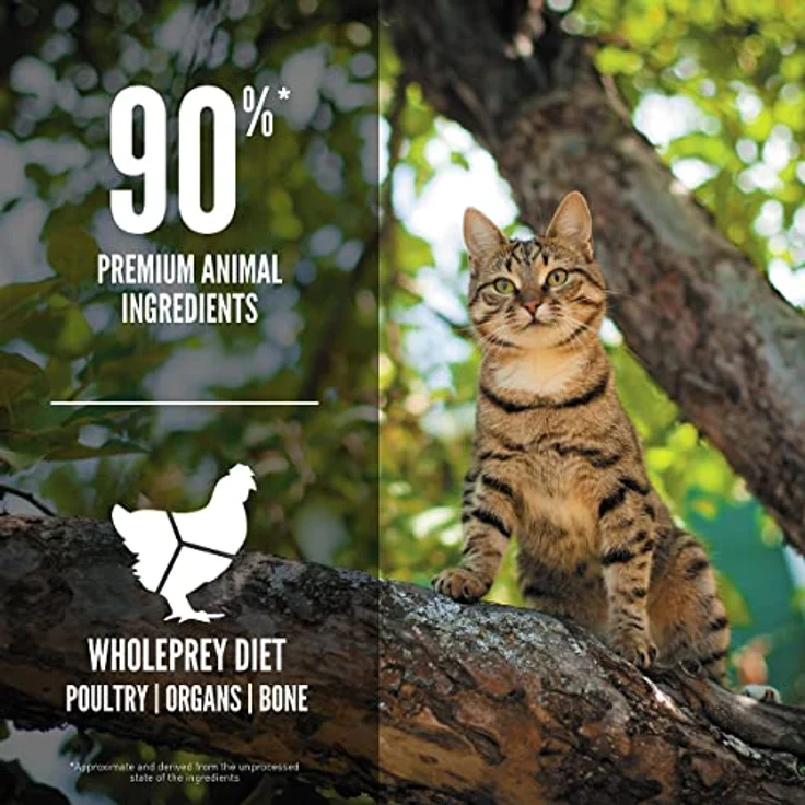 Orijen Feline Guardian 8, Katzen-Trockenfutter mit hochwertigem Fleischanteil, 4,5 kg – Bild 4