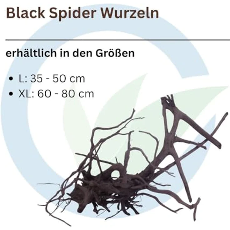 Aquaone Black Spider Wurzel XL, 60-80 cm – Dekorative Aquarienwurzel für Aquascaping, schwarz – Bild 2