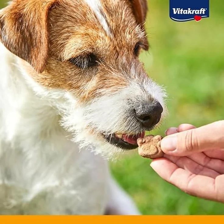 Vitakraft Noshies Truthahn, Hundesnack Sparpaket mit 3 Formen, 4 x 90 g, mit Vitalstoffen – Bild 6