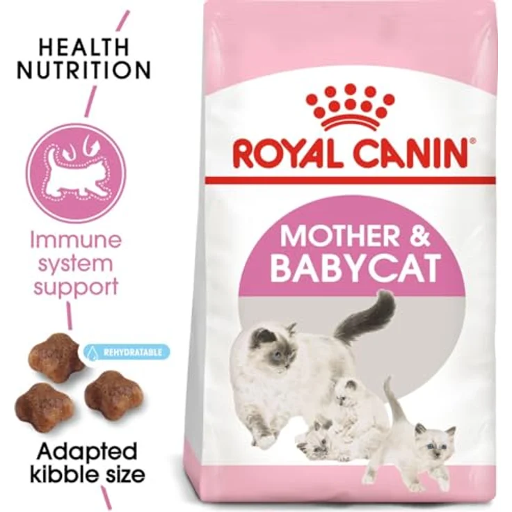 Royal Canin Babycat 55172, 2 kg Katzen-Trockenfutter mit leicht auflösbaren Kroketten und Antioxidanzien zur Unterstützung des Immunsystems – Bild 2