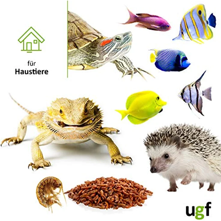UGF Premium Gammarus Bachflohkrebse Getrocknet, 50g im 500ml Eimer, hochwertiges Futter für Schildkröten, Fische, Axolotl, Hamster, Igel, Koi und Ratten, 48% Protein, 100% natürlich – Bild 4