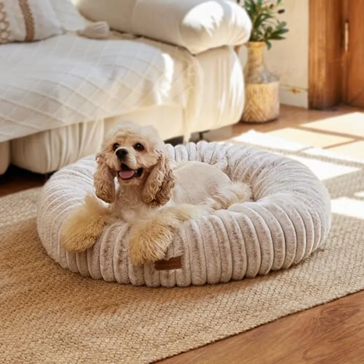 FUKUMARU Orthopädisches Hundebett, Katzenbett für Innen, waschbare Abdeckung, modernes Design mit Farbverlauf, 76 x 76 x 18 cm, Kamel