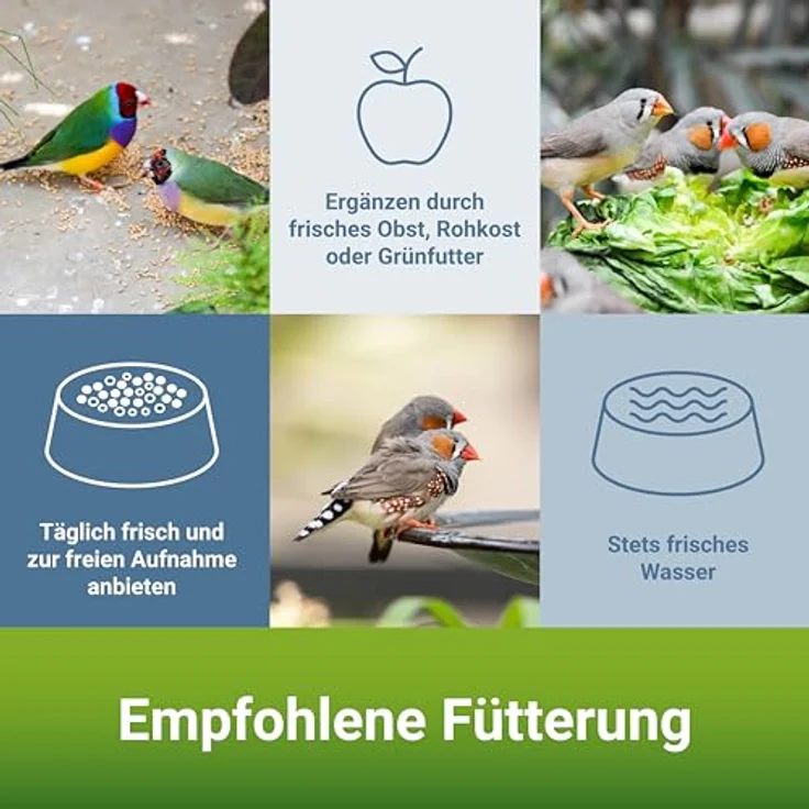 PANTO Exotenfutter mit Pluramin, 5x1 kg - Ziervogelfutter für Finken und exotische Vögel, ohne Nüsse, mit Vitalkörnchen – Bild 4