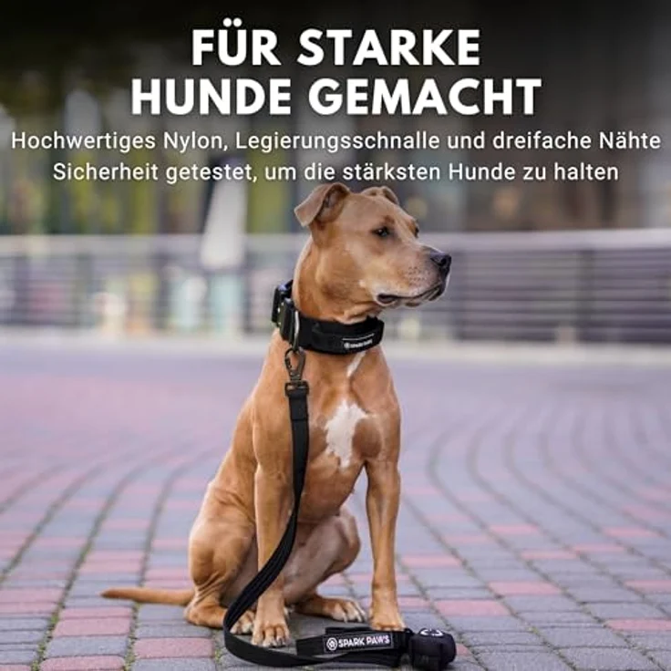 Spark Paws Taktisches Hundehalsband, strapazierfähig und langlebig für große und mittelgroße Hunde, Schwarz, S: 16-25kg [3.8cm] – Bild 4