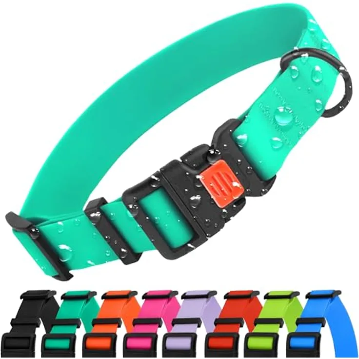 CollarDirect Wasserdichtes Hundehalsband M, Verstellbar, Silikon & Kunststoff, Geruchsresistent, Leicht zu Reinigen, Sicherheitsverschluss, Minzgrün (30-40 cm)