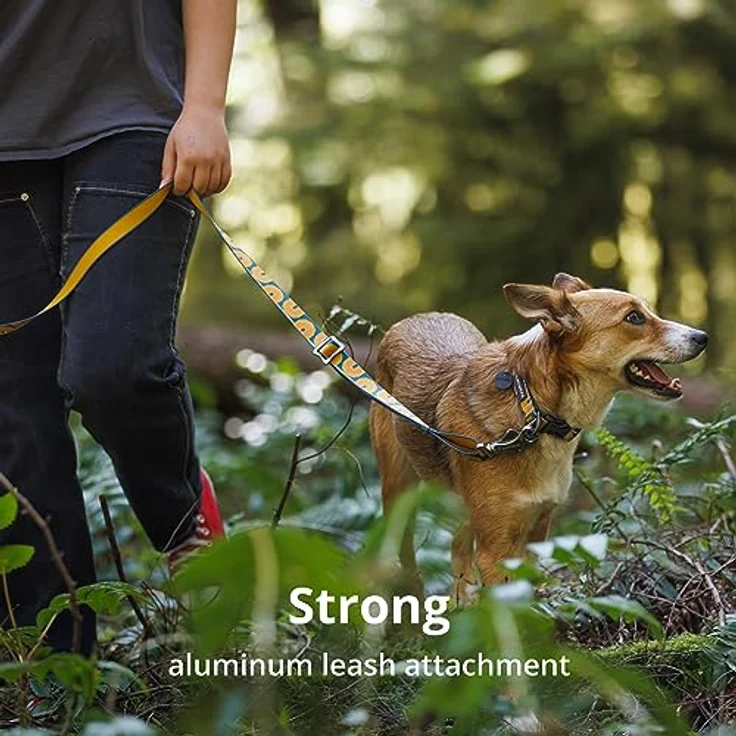 Ruffwear Hundehalsband Crag Collar Alpine Dusk, reflektierendes Tubelok Schlauchband, seitlicher Klickverschluss – Bild 7
