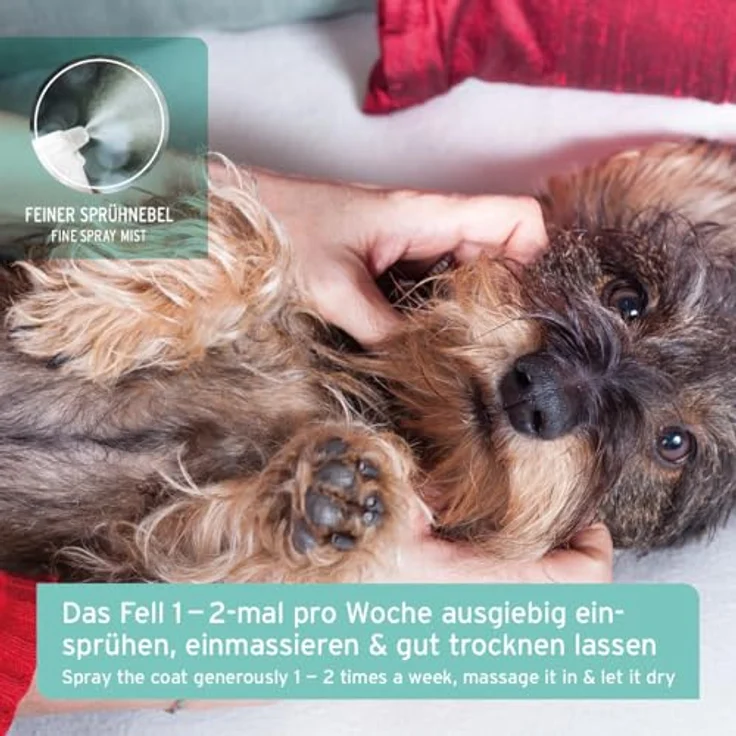 AniForte Fellgeruch-Stop, Fellspray gegen Hundegeruch & Katzengeruch, 200ml, natürlicher Geruchsneutralisierer für Langhaar & Kurzhaar, pflegt das Fell ohne Hundeparfüm, hergestellt in Deutschland – Bild 4