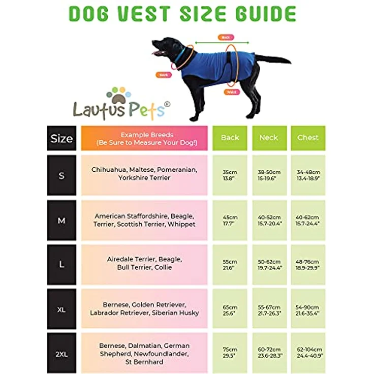 Lautus Pets Hundekühlweste, Leichte Jacke für Kleine Hunde mit Reißverschluss, Ideal für Spaziergänge und Draußen, Schwarz – Bild 2