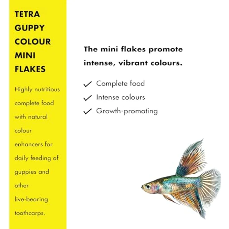 Tetra Guppy Colour, Fischfutter mit natürlichen Farbverstärkern für Guppies, 100 ml – Bild 3
