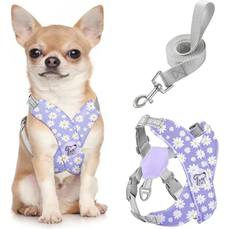Pawaboo X-Rahmen Hundegeschirr mit Leine Set, verstellbar, Anti-Zug, Anti-Erstickung, für kleine und mittelgroße Hunde, S, violette Gänseblume – Bild 1