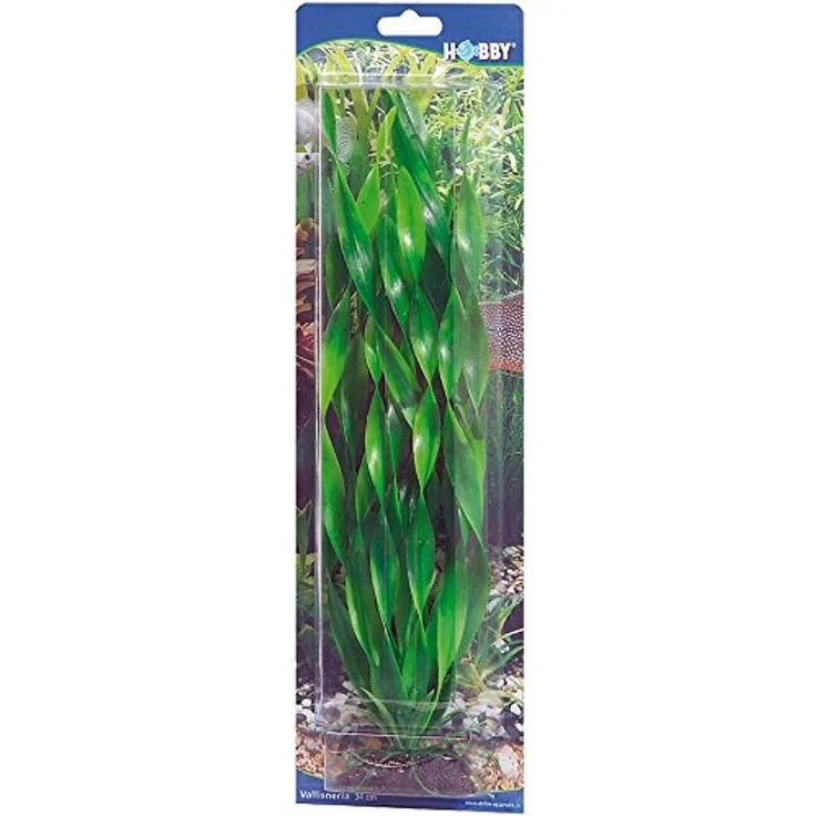 HOBBY Aquariendeko Vallisneria, 20 cm Kunststoffpflanze mit naturgetreuer Bewegung für Aquarien – Bild 2