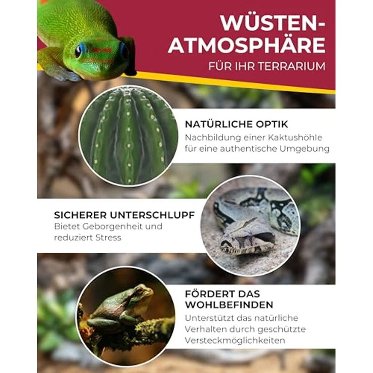 HOBBY Terraristik Cactus Home 2, Dekorative Versteckhöhle in Kakteenoptik, 12,7×12,5×8 cm, feuchtigkeitsbeständig aus Polyresin – Bild 3