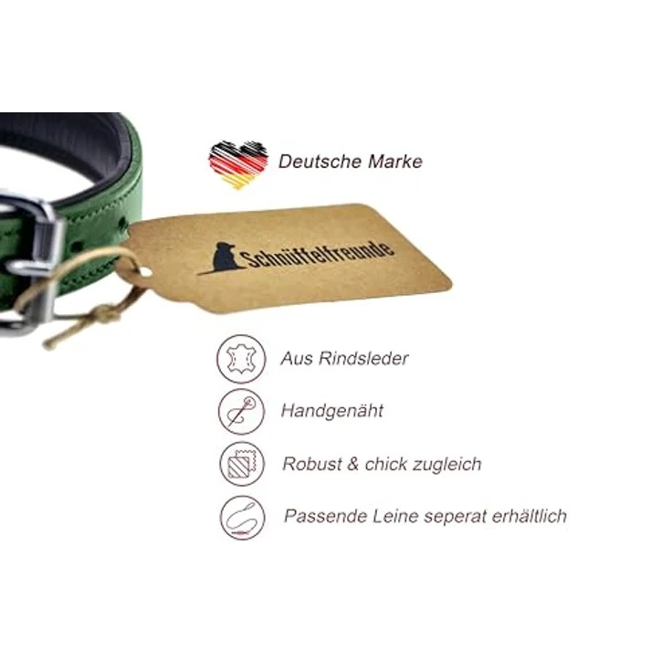 Schnüffelfreunde Lederhalsband für Hunde, gepolstert und robust, für große, mittlere und kleine Hunde, XL (46-55cm), grün – Bild 2