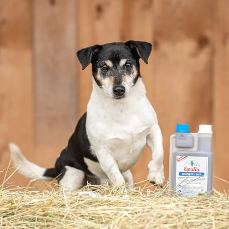 Ewalia Senior Fit - Saft für Hunde, Unterstützung für Vitalität und Herzgesundheit, 500ml, 100% naturrein, entwickelnt von Tierärzten – Bild 2