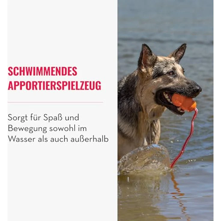 KONG Aqua – Bild 4