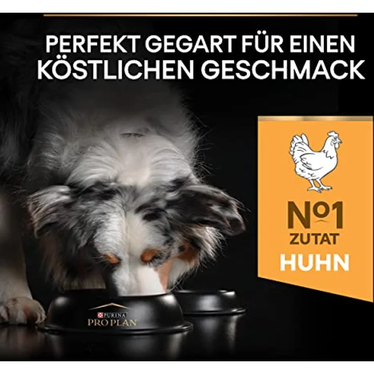 Pro Plan PRO PLAN Adult Medium Everyday Nutrition Huhn, Trockenfutter für ausgewachsene Hunde, 3 kg, nährstoffreich und zur Zahnpflege – Bild 5
