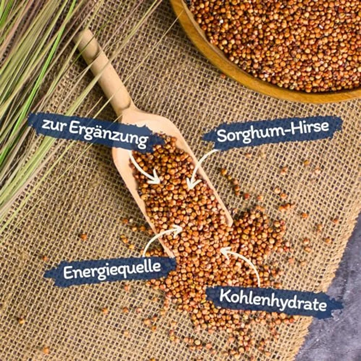 Lyra Pet® 10 kg Milo Sorghum Hirse | Nährstoffreiches Ergänzungsfutter für Vögel und Kleinnager | Reich an Kohlenhydraten und Vitaminen – Bild 2