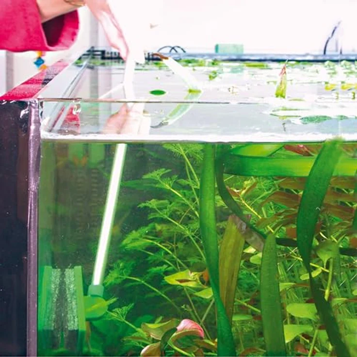 JBL Blanki Set Kratzfreier Aquarien-Scheibenreiniger mit Stiel – Bild 10