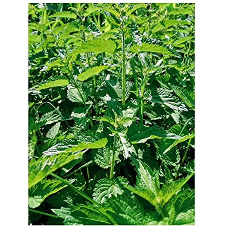 Barbara Seitz Vitality StoffwechselAktiv Pellets, getrocknete Brennessel und Kräuter, getreidefrei, 1000 g – Bild 3
