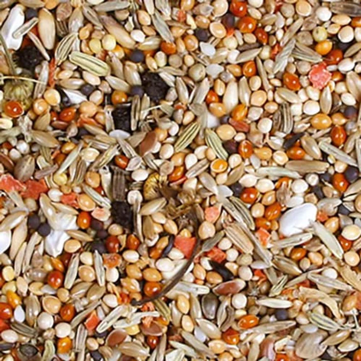 JR FARM Birds Individual Nymphensittich, artgerechtes Vogelfutter 1kg mit hochwertigen Saaten, made in Germany – Bild 2