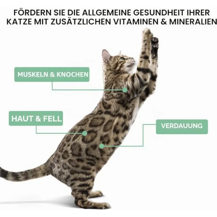 Schesir Complete Nutrition Filet in Gelee, Katzen-Nassfutter mit Thunfisch und Garnelen, 6 x 50 g, hohes Feuchtigkeitsniveau, hohe Proteingehalte, natürliche Rezeptur – Bild 6