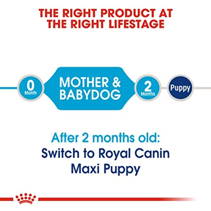 ROYAL CANIN Maxi Starter Mother & Babydog, Trockenfutter für Hunde, 15 kg – Bild 3
