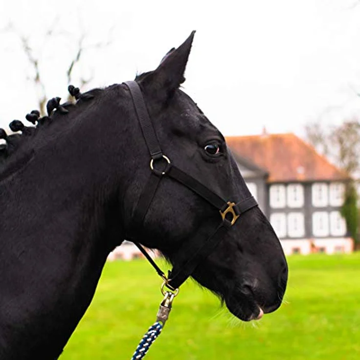 Pferdelinis Halfter für Pferd Warmblut, Vollblut, Kaltblut – reißfestes Stall- und Weidehalfter, 2-fach verstellbar, Schwarz (Vollblut, Cob) – Bild 1