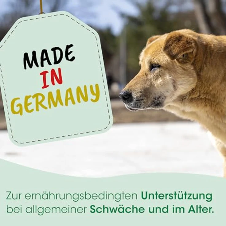 cdVet SeniorDog, Hundefutter zur ernährungsbedingten Unterstützung im Alter, Pulver, 70 g – Bild 4