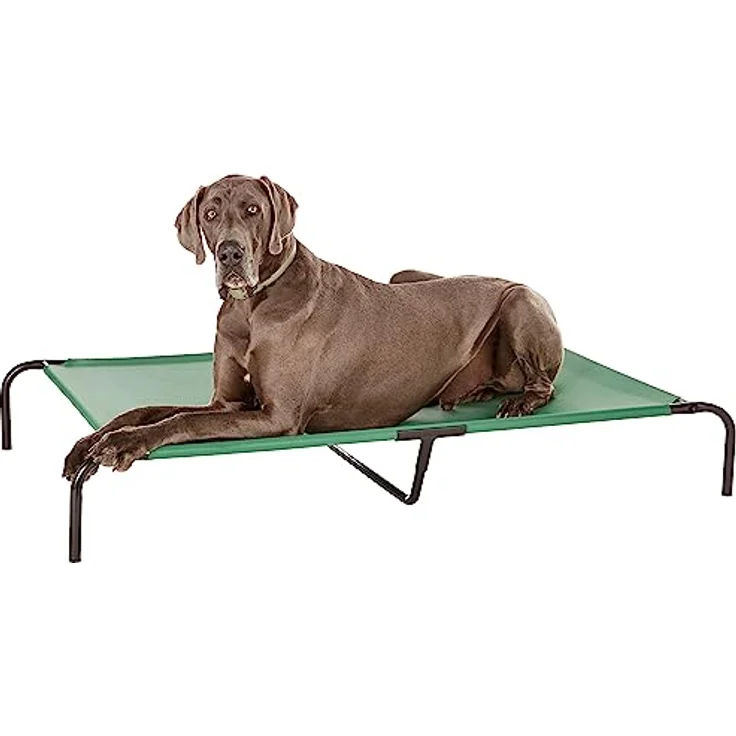 Amazon Basics Kühlendes erhöhtes Hundebett, XL, grün, mit atmungsaktivem Netzgewebe und Eisenrahmen, 153 x 94 x 23 cm, ideal für große Rassen – Bild 1