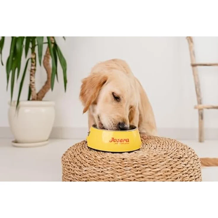 JosiDog Adult Sensitive, Hunde-Trockenfutter mit zartem Geflügel, 900g – Bild 8