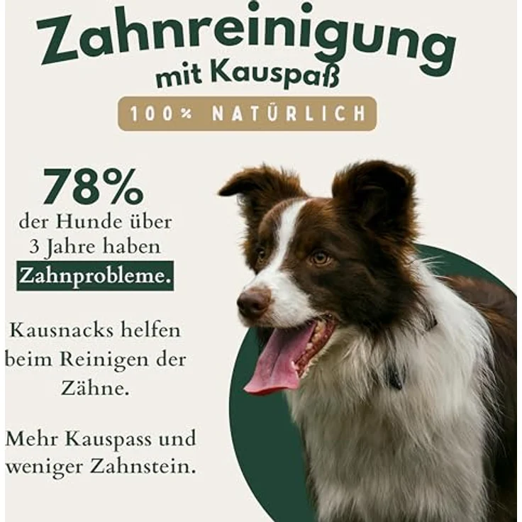 Hunde Helden BREERs Rinderdörrfleisch Trockenfleisch für Hunde, 15 cm Rinderschlund, 1 kg, natürlicher Kauartikel für große & kleine Hunde, getrocknet in Deutschland – Bild 3